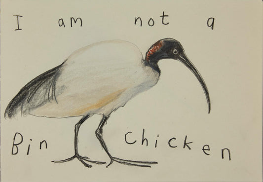 I Am Not a Bin Chicken